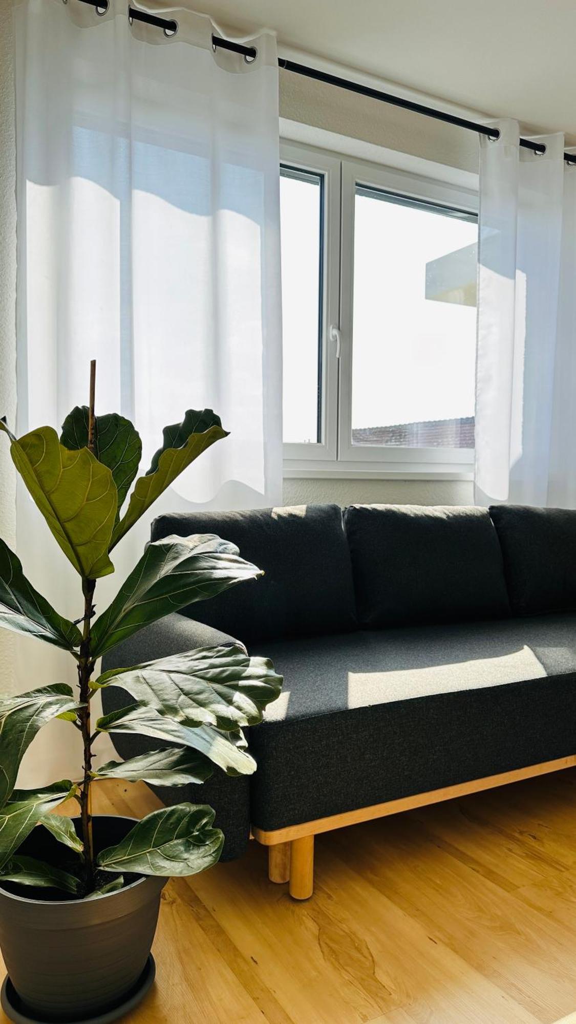 Ferienwohnung Amao-Sepia I 86Qm I King-Size Beds I Netflix I Privat Balcony I Free Parking I Near Europapark Rheinhausen Exterior foto